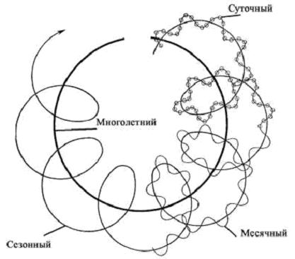 Рис.2 Суточные, месячные, сезонные и многолетние ритмы